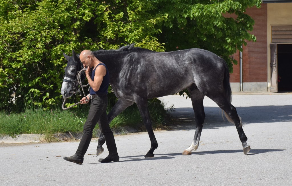 Si avvicina il Derby italiano di&nbsp;Galoppo