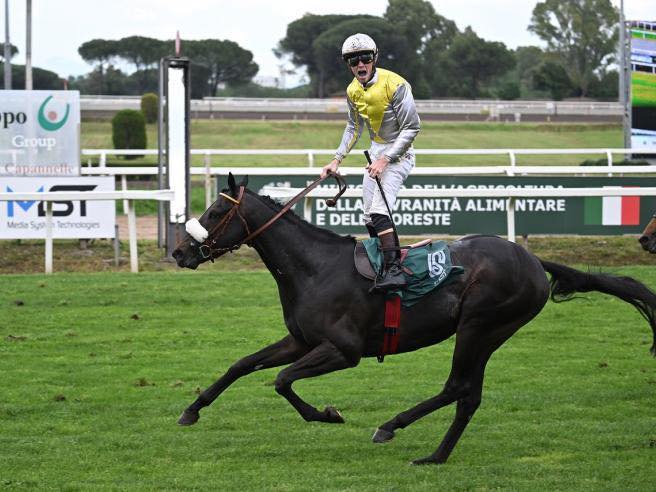 Il Derby Italiano di&nbsp;Galoppo