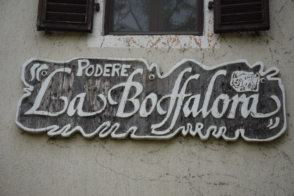 Momenti indimenticabili