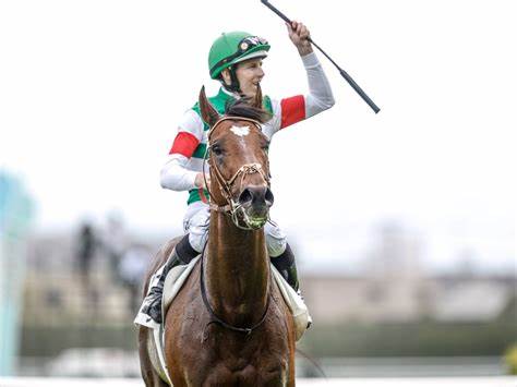 Tokyo Yushun Derby