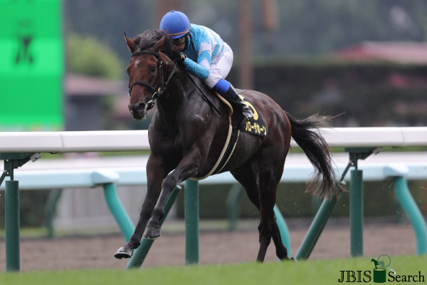 Takarazuka Kinen 2024