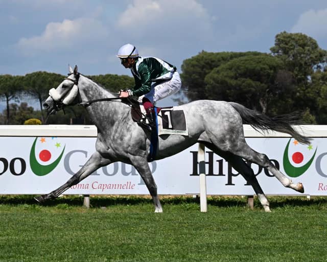 Aspettando le Oaks d’Italia, concentriamoci sul “Premio Lombardia”