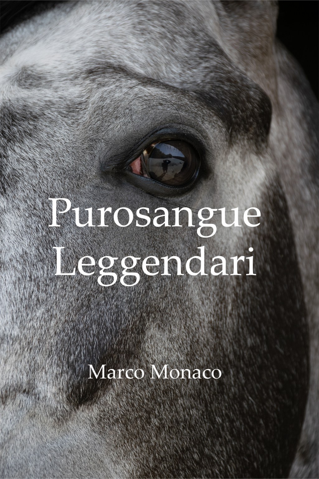 La bozza di Purosangue&nbsp;Leggendari