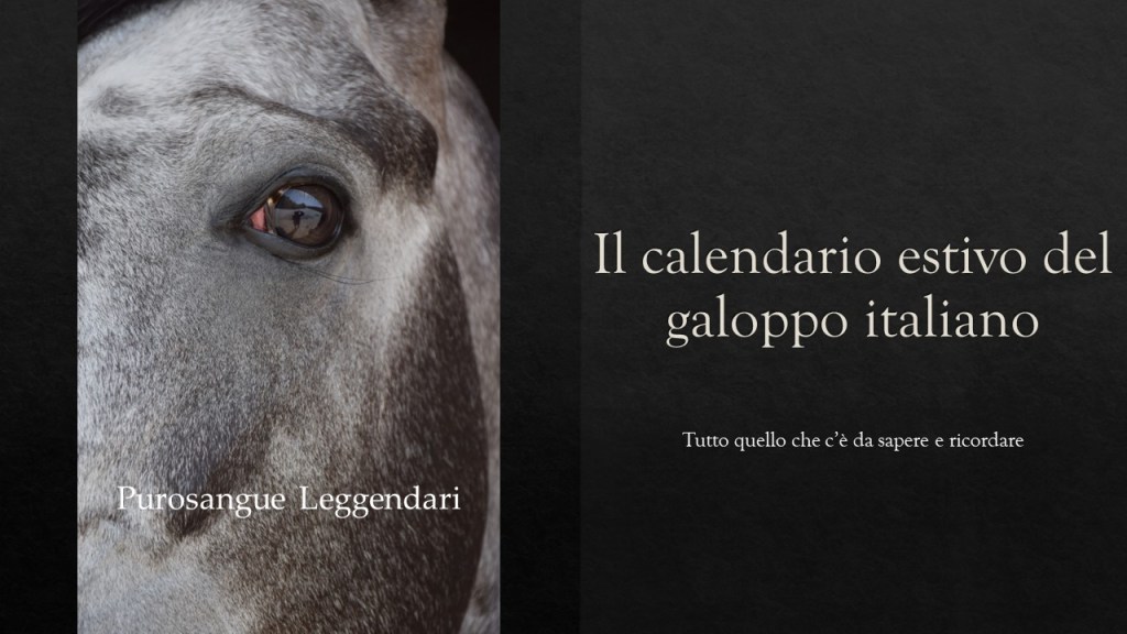 Il Calendario estivo del Galoppo&nbsp;italiano