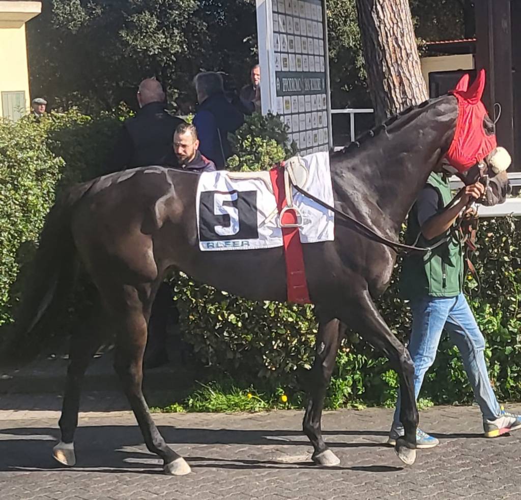 Ultima giornata a San&nbsp;Siro