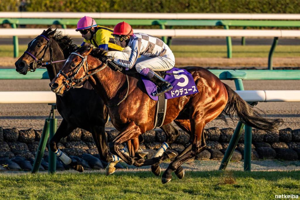 Tenno sho 2024 (autumn)