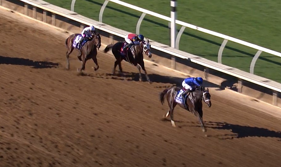 Immersive, e gli Usa rispondono al Vecchio continente