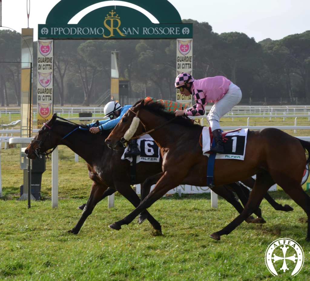 Il galoppo italiano parte in chiaro scuro