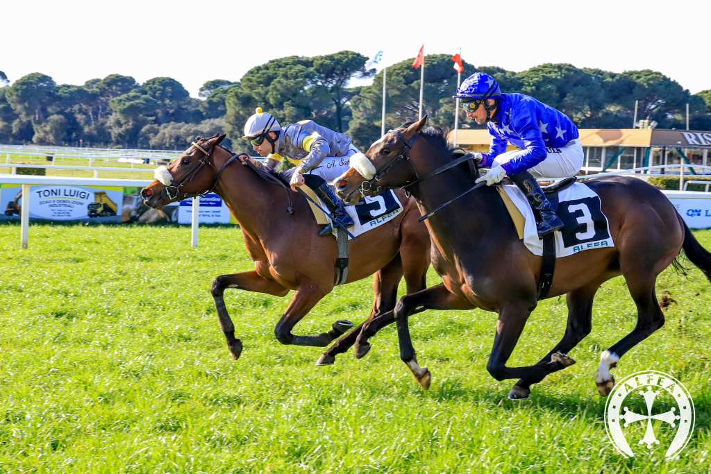 Premio Renzo Guidotti – O d&nbsp;A