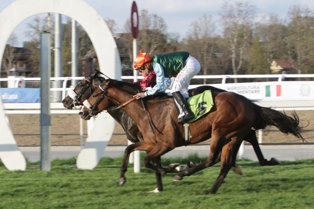 Semplicemente Dario Di Tocco