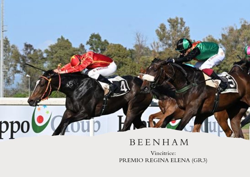 Premio Regina Elena, tutte le&nbsp;genealogie