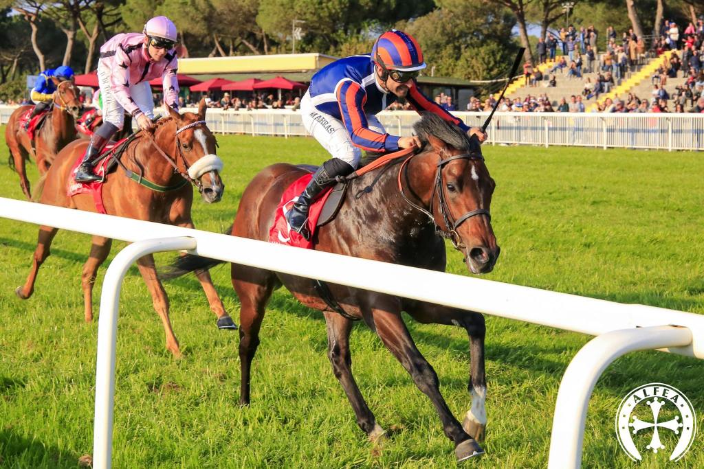 Premi Pisa e Daumier – O d A