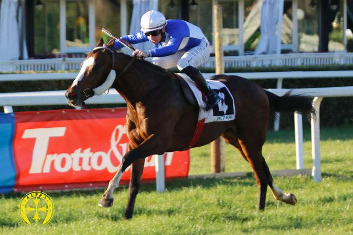 Premio Parioli, le genealogie dei&nbsp;partecipanti