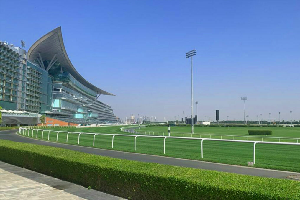 Dubai World Cup 2025