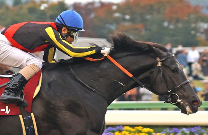 Oaks d’Italia in salsa&nbsp;giapponese