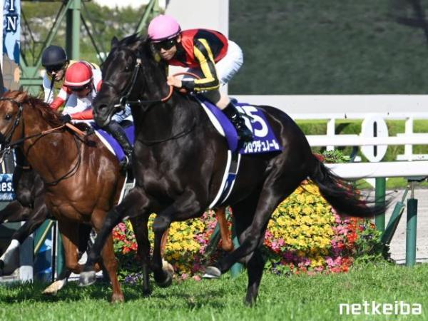 Croix du nord,&nbsp;Leggendario