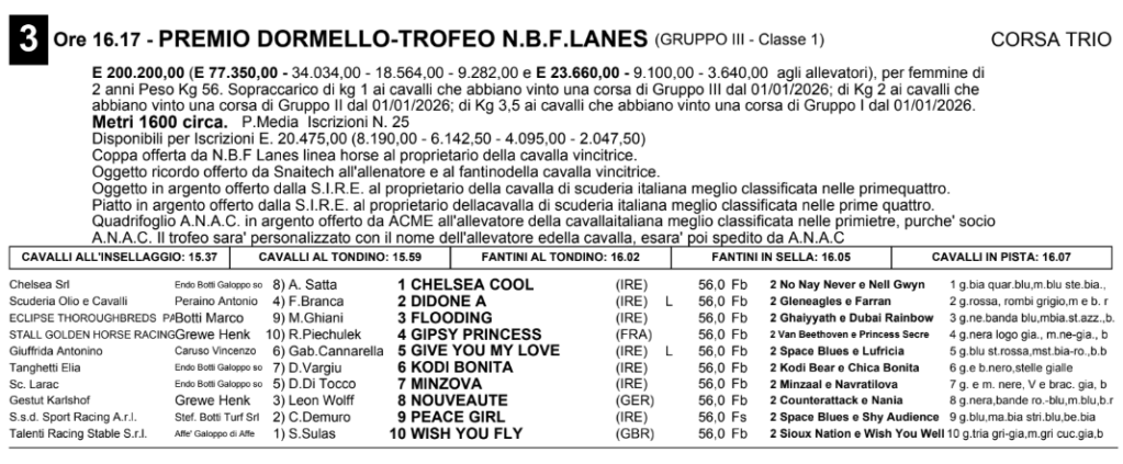 Elenco delle corse ippiche con dettagli su premi, cavalli, e fantini per il Premio Dormello-Trofeo N.B.F. Lanes.
